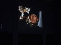 29